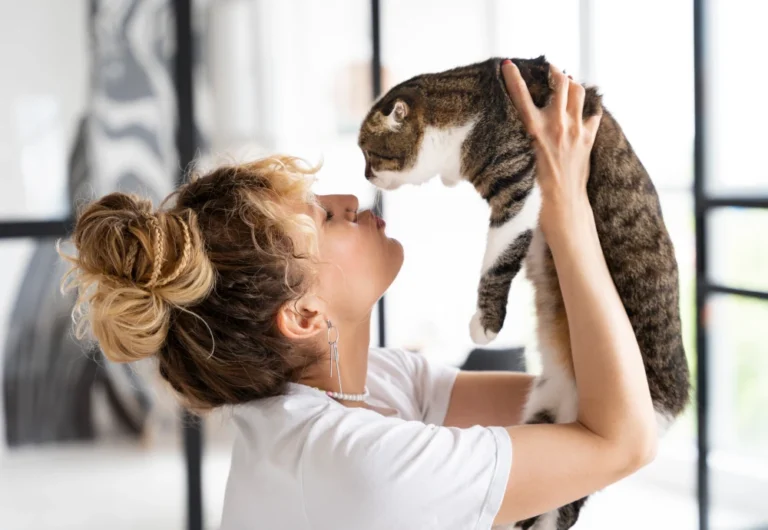 best indoor pet camera